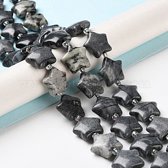 Natürliche schwarze Seide Stein / Netstone Perlen Stränge&nbsp;G-NH0005-009