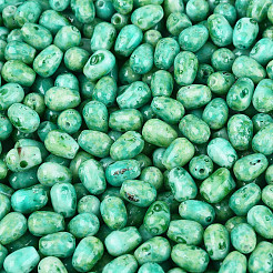 Picasso-Glasperlen&nbsp;SEED-N012-10G