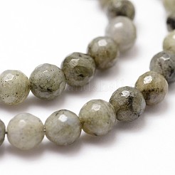 Chapelets de perles en labradorite naturelle &nbsp;G-G736-04-4mm