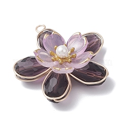 4pcs pendentifs en verre 4 couleurs&nbsp;PALLOY-TA00319
