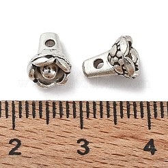 Tibetischen Stil Legierungs Anhänger & Charms&nbsp;LS-FIND-A035-13AS
