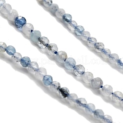 Natürliche Aquamarin Perlen Stränge&nbsp;LS-G-RM2025-A17-2mm