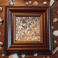 150 g 5 Stile natürliche gemischte Muschelperlen&nbsp;SSHEL-SC0001-50