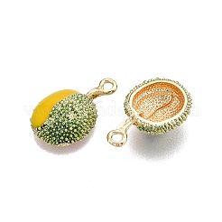 Pendentifs d'émail en alliage&nbsp;ENAM-N056-404I