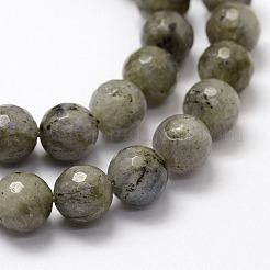 Sfaccettature naturali labradorite perline fili&nbsp;G-F364-17-8mm