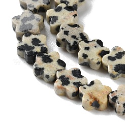 Natur Dalmatiner Jaspis Perlen Stränge&nbsp;G-B138-C08-01