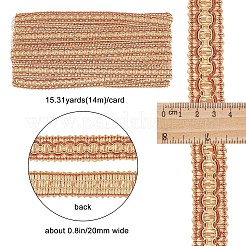 Geflochtene Spitzenbesätze aus Polyester&nbsp;WCOR-WH0001-04E