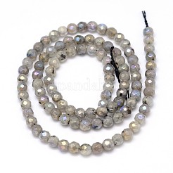 Natur galvanisieren Labradorit runde Perle Stränge&nbsp;G-O094-04-4mm