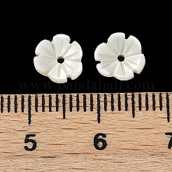 Dijes de flores de concha de trochus natural&nbsp;SHEL-K006-46A