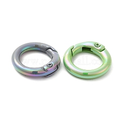 Federring aus spritzlackierter Legierung&nbsp;PALLOY-H131-10