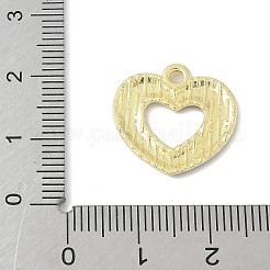 Pendentifs en alliage émaillé pour le jour de l'indépendance&nbsp;FIND-M083-05E-G