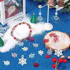 120pcs 6 Farben transparente Harzanhänger&nbsp;FIND-SC0010-13