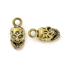 Pendentifs en alliage de style tibétain&nbsp;FIND-M047-10AG