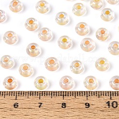 Fgb Innenfarben transparente Glasperlen&nbsp;SEED-T009-01G