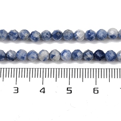 Fili di perle di diaspro macchia blu naturale&nbsp;G-A252-A02-4mm