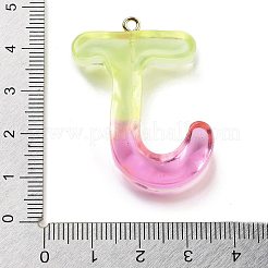 Pendentif en résine&nbsp;LS-FIND-Q107-01J-03