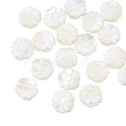 Natürlichen Muschelperlen Stränge&nbsp;SSHEL-CJ0001-09