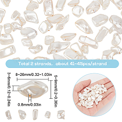2 Strang sprühlackierte natürliche Süßwasser-Muschelperlen&nbsp;SHEL-SC0001-46