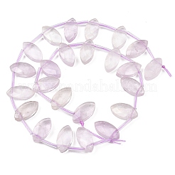 Natürlichen Amethyst Perlen Stränge&nbsp;G-P607-A05-01