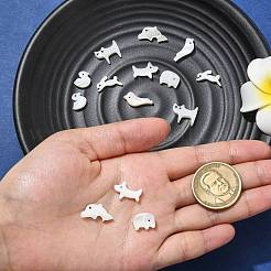 14 stücke 7 arten tier thema natürliche weiße muschel perlen sets&nbsp;FIND-CJ0004-74