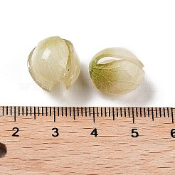 Tappo perlina in acrilico opaco&nbsp;SACR-C006-02A