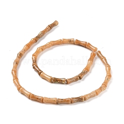 Fili di dolomite naturale e perline di opale sintetico&nbsp;G-P475-03E