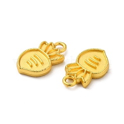 Pendentif en alliage &nbsp;FIND-G057-05MG