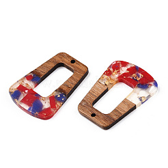 Pendentifs en résine transparente et bois de noyer&nbsp;RESI-TAC0017-72-A08