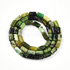 Chapelets de perles en serpentine naturelle&nbsp;G-N346-01A-04