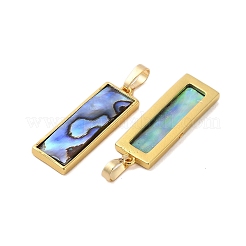 Anhänger aus natürlicher Paua-Muschel in Gestellbeschichtung&nbsp;KK-E059-14G