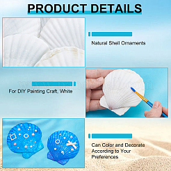 80 Stück natürliche Muschelornamente&nbsp;DIY-WA0001-03