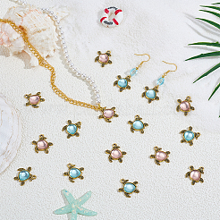24 pièces 2 couleurs pendentifs en alliage de style tibétain&nbsp;FIND-PH0060-10