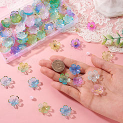 160 pièces 8 styles de capuchons de perles en acrylique&nbsp;OACR-TA0004-53A
