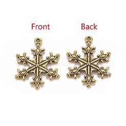 Pendenti in lega di zinco tibetano&nbsp;X-TIBEP-12740-AG-FF