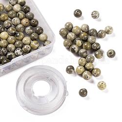 100pcs 8mm natürliche fossile Korallen runde Perlen, mit 10m elastischem Kristallfaden, für DIY-Stretch-Armbänder, die Kits herstellen, 8 mm, Bohrung: 1 mm