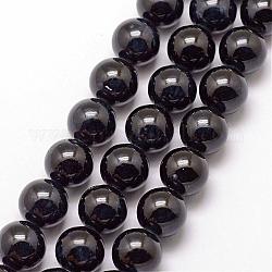Fossil Beads, Dyed, Round, Black, 8mm, Hole: 0.8mm, about 50pcs/strand, 16inch
