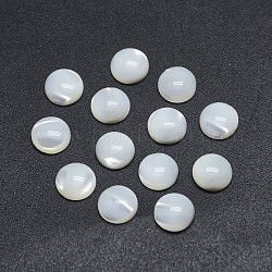 Shell Cabochons, Flachrund, 10x3~4 mm