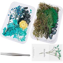Gorgecraft 2 juegos de accesorios de flores secas de la serie azul, con pinzas de acero inoxidable y tarjetas de papel, color mezclado, flor seca: 1 juego/estilo, 2 estilo, 2 sets