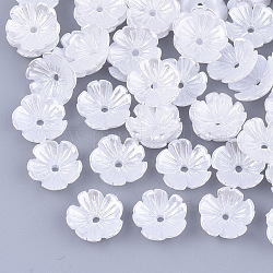 Tapas de abalorios de perlas de imitación de resina, 5-pétalo, flor, blanco, 10.5x10.5x3mm, agujero: 1.2 mm