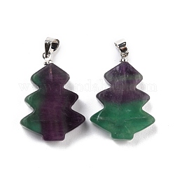 Natural Fluorite Pendants, with Platinum Tone Brass Findings, Tree, 26~27x18.5~19x5.5mm, Hole: 5x4mm