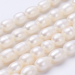 Brins de perles de culture d'eau douce naturelles, ovale, couleur de coquillage, 11~13x9~10mm, trou: environ 0.5 mm, Environ 30 pcs/chapelet, 13.8 pouce