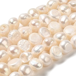 Fili di perle di perle d'acqua dolce coltivate naturali, due lati lucido, grado 3 un, papayawhip, 8.5~10x10~11x7~8mm, Foro: 0.5 mm, circa 37pcs/filo, 13.78 pollice (35 cm)