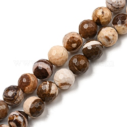 Chapelets de perles en zèbre naturel, facetté (128 facettes), ronde, 8~8.5mm, Trou: 1.2mm, Environ 45 pcs/chapelet, 15.08~15.16 pouce (38.3~38.5 cm)