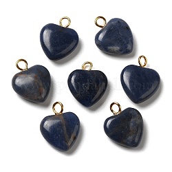 Ciondoli sodalite naturale, ciondoli a cuore con anelli in ottone placcato oro, 15~15.5x12~12.5x4.5~5.5mm, Foro: 2 mm