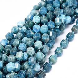 Chapelets de perles en apatite naturelle, avec des perles de rocaille, facette, Toupie, perles de prisme à double pointe, 7~8x7~8mm, Trou: 0.8mm, Environ 38 pcs/chapelet, 15.35 pouce (39 cm)