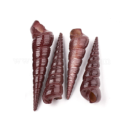 Натуральные спиральные бусы из ракушек, нет отверстий / незавершенного, окрашеные, седло коричневый, 32~75x9~18x9~18 мм