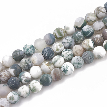 Chapelets de perles en agate d'arbre naturelle G-T106-039-1
