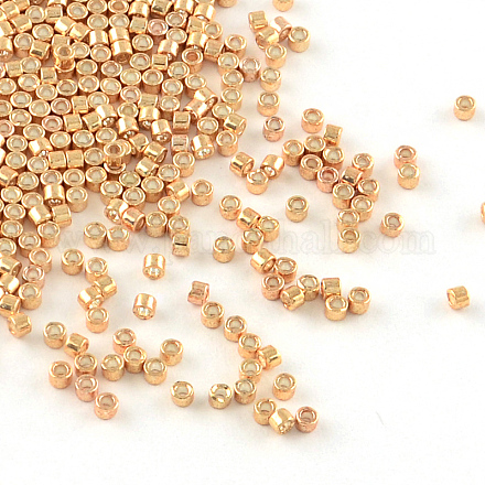 MIYUKI Delica Beads SEED-R015-411-1