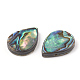 Abalone shell / paua shell beads SHEL-T005-02-2