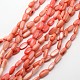 Dyed Oval Natural Freshwater Shell Beads Strands SHEL-E356-M-2